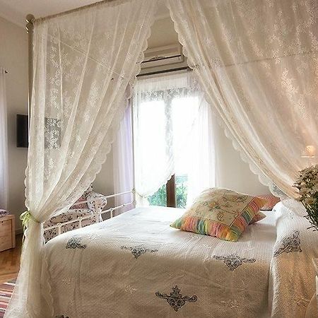 Al Pino B&B Grottaferrata Eksteriør billede
