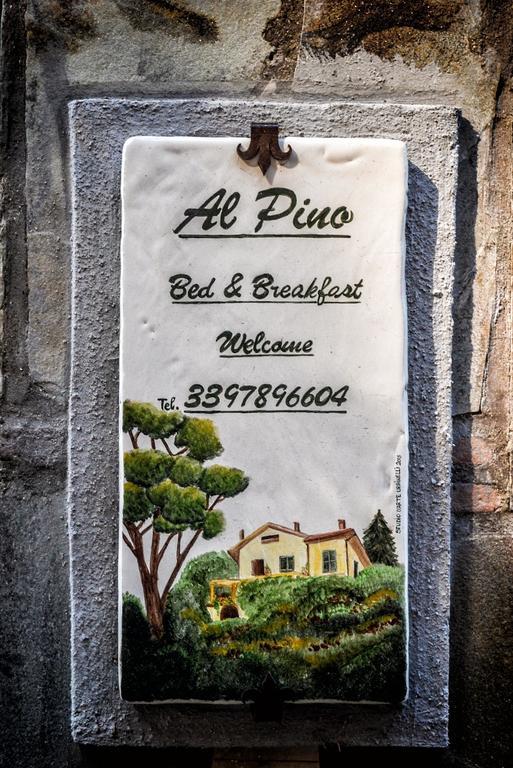 Al Pino B&B Grottaferrata Eksteriør billede