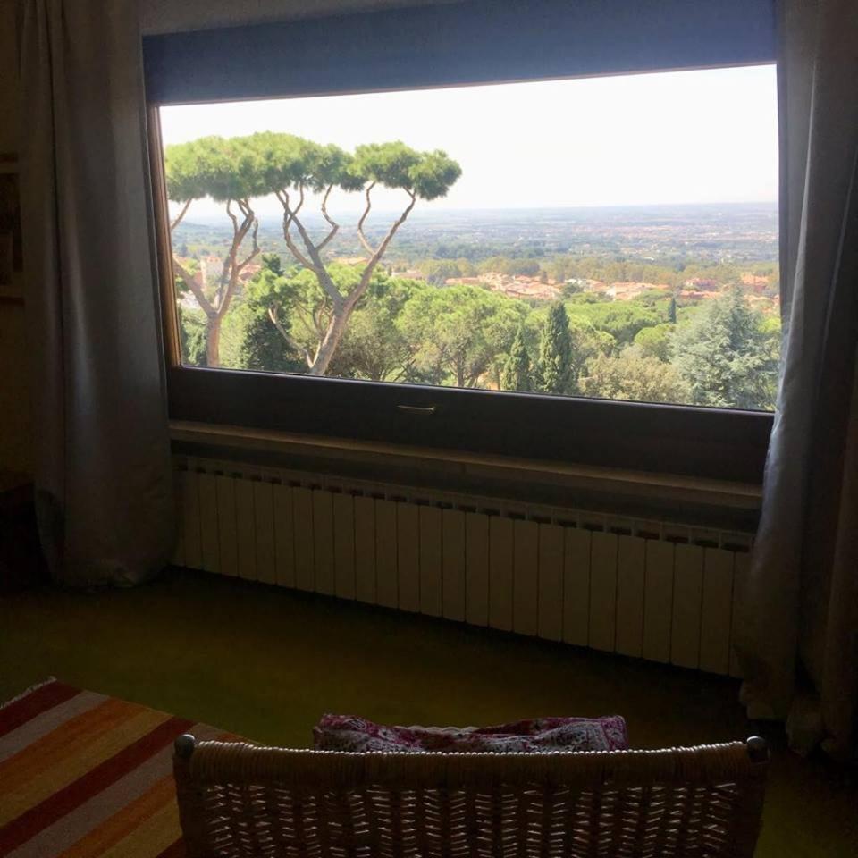 Al Pino B&B Grottaferrata Eksteriør billede